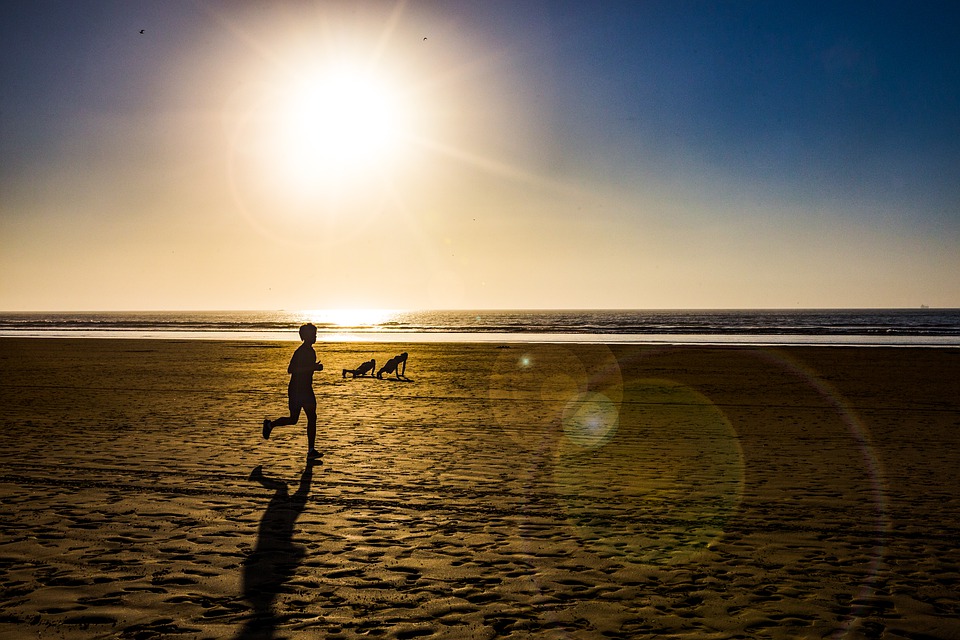 what is the role of a health coach?